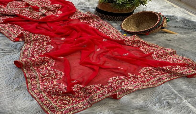 Charm of Embroidered Sarees