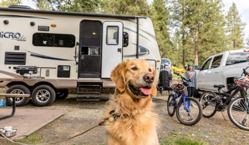 Pet-Friendly RV Camping