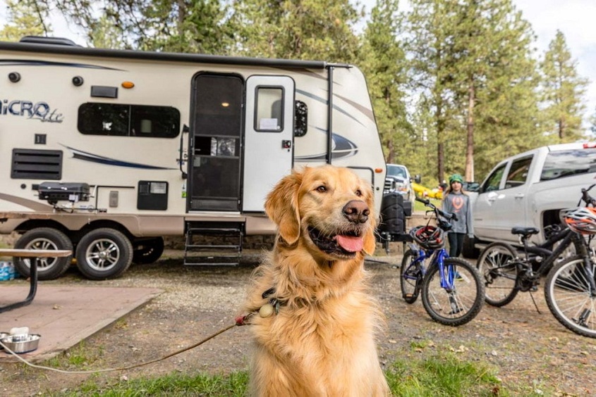 Pet-Friendly RV Camping